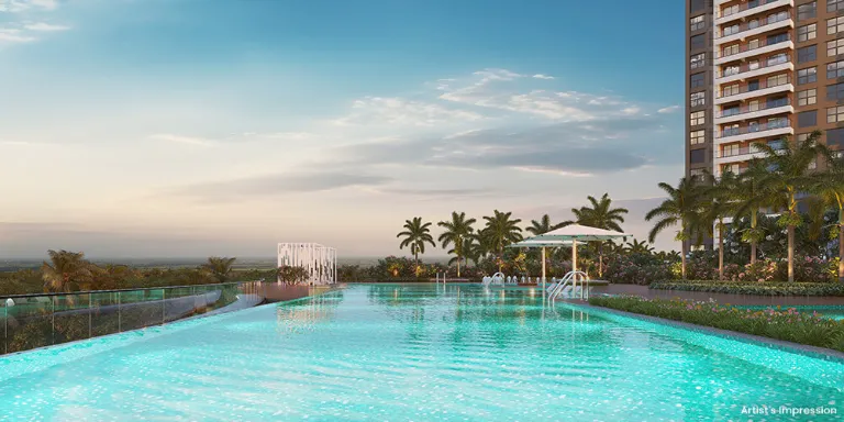 Infinity Edge Lap Pool